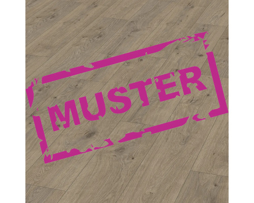 Échantillon de stratifié Nature Sense Murom chêne naturel plancher de maison de campagne 1292 x 193 x 8 mm Échantillon de stratifié Nature Sense Murom chêne naturel plancher de maison de campagne 1292 x 193 x 8 mm