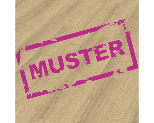 Échantillon de stratifié Nature Sense parquet chêne foncé plancher de maison de campagne 1292 x 193 x 8 mm Échantillon de stratifié Nature Sense parquet chêne foncé plancher de maison de campagne 1292 x 193 x 8 mm