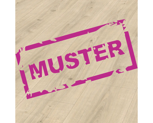 Échantillon de stratifié Nature Sense Ortega chêne naturel plancher de maison de campagne 1292 x 327 x 8 mm Échantillon de stratifié Nature Sense Ortega chêne naturel plancher de maison de campagne 1292 x 327 x 8 mm
