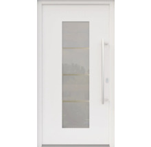 ARON HaustürARON 3141 Aluminium-Kunststoff-Verbund RAL 9016 verkehrsweiß 1000x2000 mm beidseitig flügelüberdeckend DIN Rechts inkl.Stoßgriffset,Innendrücker in Edelstahl,Profilzylinder mit 3 Schlüsseln