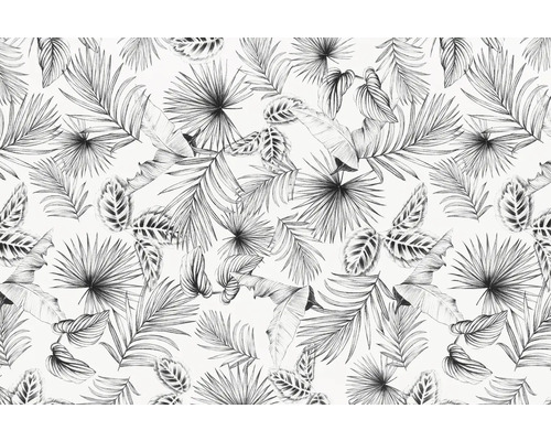 d-c-fix® Glasdekorfolie static Botanicals 67,5x150 cm Muster mit tropischen Blättern