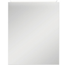 Spiegelschrank DSK Aluminio 50 x 13,1 x 60 cm alufarben 1-türig LED IP 24
