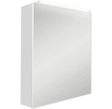 Spiegelschrank DSK Aluminio 50 x 13,1 x 60 cm alufarben 1-türig LED IP 24
