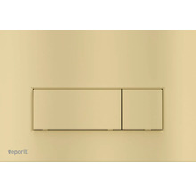 Plaque de commande Veporit pour WC