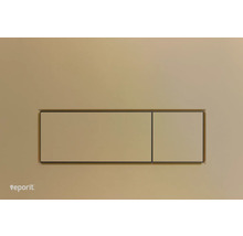 Plaque de commande pour chasse d''eau WC