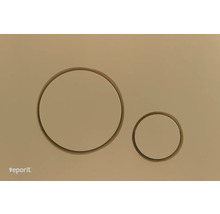 Chasse d''eau de toilette à deux boutons