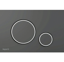 Plaque de commande pour chasse d''eau de toilette avec deux boutons