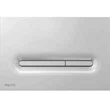 Plaque de chasse d''eau avec deux boutons