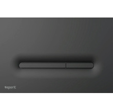 Logo Veporit et plaque de commande pour WC