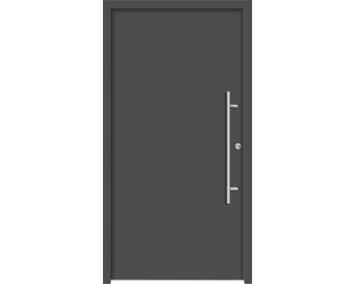 Graue Haustür mit Edelstahlgriff