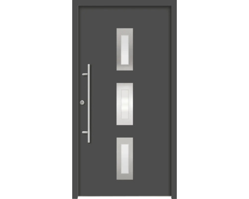 Haustür mit drei Lichtausschnitten und Stangengriff