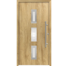 Porte d''entrée avec trois ouvertures de lumière et poignée en acier inoxydable