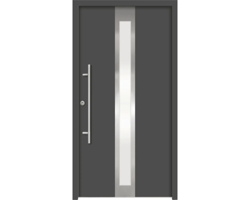 Haustür mit Glaseinsatz und Griffstange