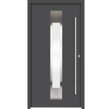 Graue Haustür mit Glaseinsatz und Stangengriff