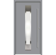 Graue Haustür mit Glaseinsatz und Griff