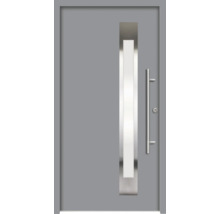 Graue Haustür mit Glaseinsatz und Griff