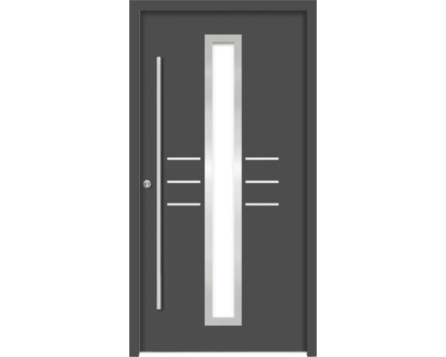 Moderne Haustür mit Glaseinsatz und Griff