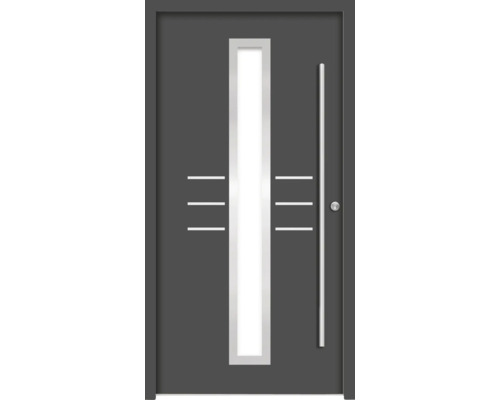 Moderne Haustür mit Glaseinsatz und Stangengriff