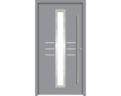 Graue Haustür mit Glaseinsatz und Stangengriff