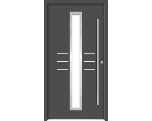 Moderne Haustür mit Glaseinsatz und Griffstange