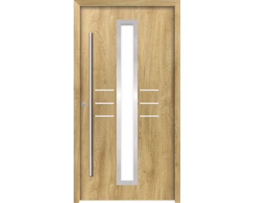 Haustür mit Glaseinsatz und Griff