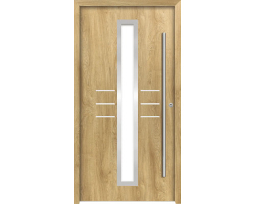 Haustür mit Glaseinsatz und Stangengriff