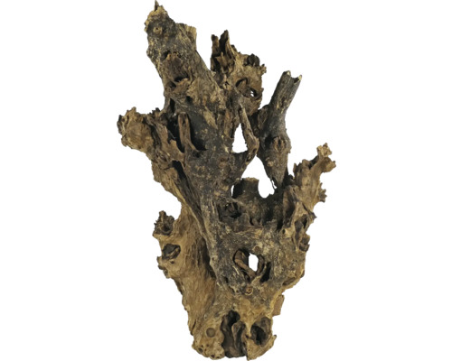 Décoration d'aquarium racine ORBIT Barico Jumbo env. 50 - -70 cm Bois de racine pour décoration d''aquarium