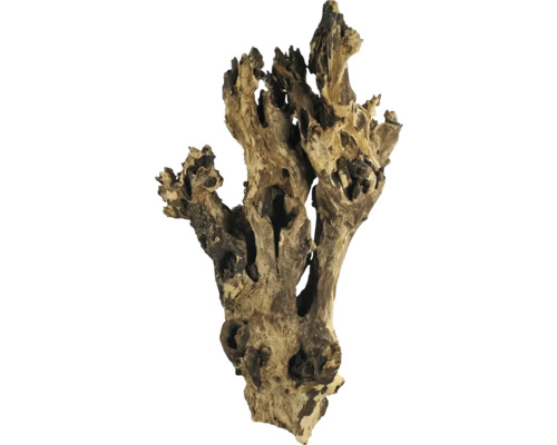 Bois décoratif pour aquariums