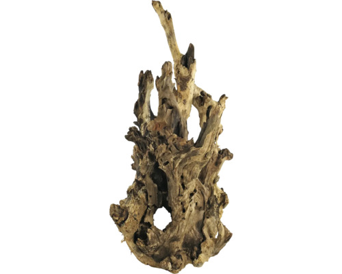 Bois de racine pour la décoration dans l''aquarium