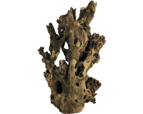 Bois de décoration pour aquarium