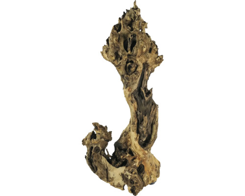 Racine décorative pour aquariums