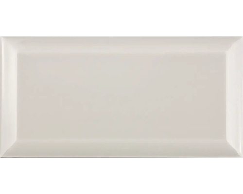 Carreau rectangulaire brillant
