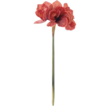 Branche d''amaryllis artificielle