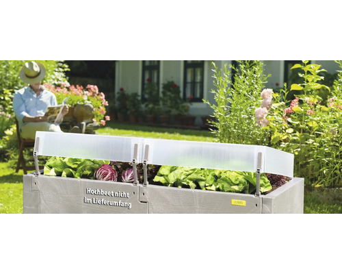 Jardinière surélevée avec plants de salade et serre de couche dans le jardin