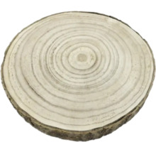 Rondin de bois avec anneaux de croissance