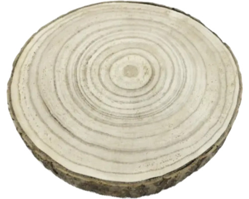 Rondin de bois avec anneaux de croissance