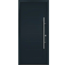 Porte d''entrée avec poignée en acier inoxydable