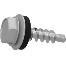 Bohrschraube mit Dichtungsscheibe