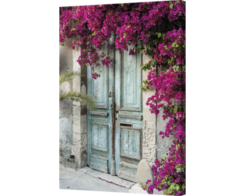 Toile décorative avec un motif d''une vieille porte en bois et des fleurs roses de bougainvilliers