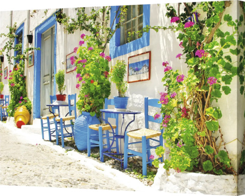 Toile décorative avec plantes fleuries sur une façade peinte en blanc avec des accents bleus