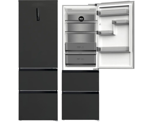 Réfrigérateur multi-portes Wolkenstein lxhxp 60 x 190,8 x 63,8 cm