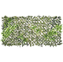 Brise-vue artificiel avec différentes espèces de plantes et treillis en bois