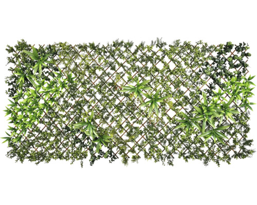 Brise-vue artificiel avec différentes espèces de plantes et treillis en bois