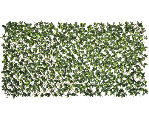 Trellis flexible avec feuilles comme écran d''intimité