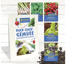 Différents paquets de graines de légumes de la marque Kiepenkerl pour un succès rapide dans le jardin