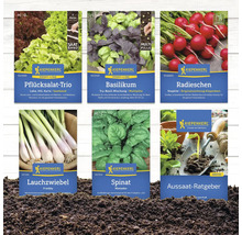 Assortiment de paquets de graines Kiepenkerl avec trio de laitues à couper, basilic, radis, oignon nouveau, épinards et guide des semis