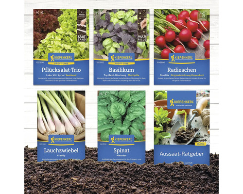 Assortiment de paquets de graines Kiepenkerl avec trio de laitues à couper, basilic, radis, oignon nouveau, épinards et guide des semis