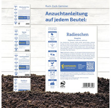 Paquets de graines des variétés de légumes trio de laitues à couper, épinards, ciboulette, basilic et radis avec instructions de culture