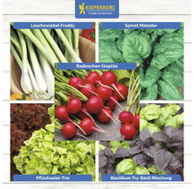 Collage de différents légumes : oignons nouveaux, épinards, radis, laitue à couper et basilic