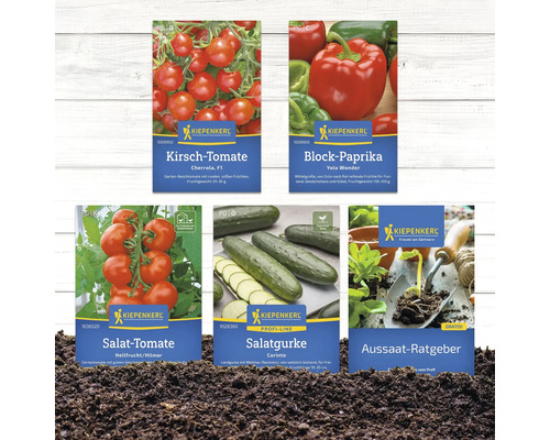 Image de différents paquets de semences Kiepenkerl : tomate cerise, poivron bloc, tomate à salade, concombre à salade et guide de semis